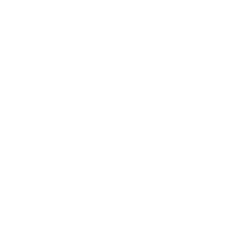 Windsor Essex Chamber Logo White