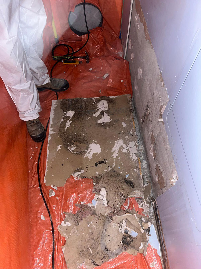 Commercial–-Emergency-Mold-Remediation-(2)