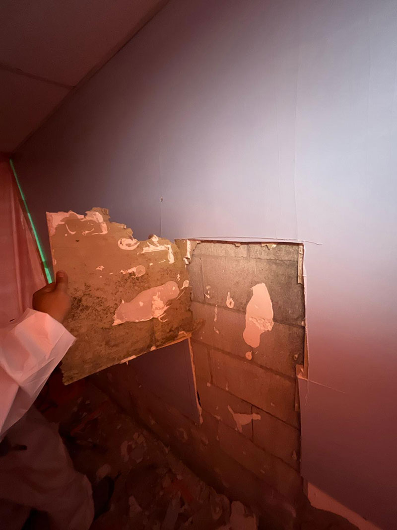 Commercial–-Emergency-Mold-Remediation-(3)