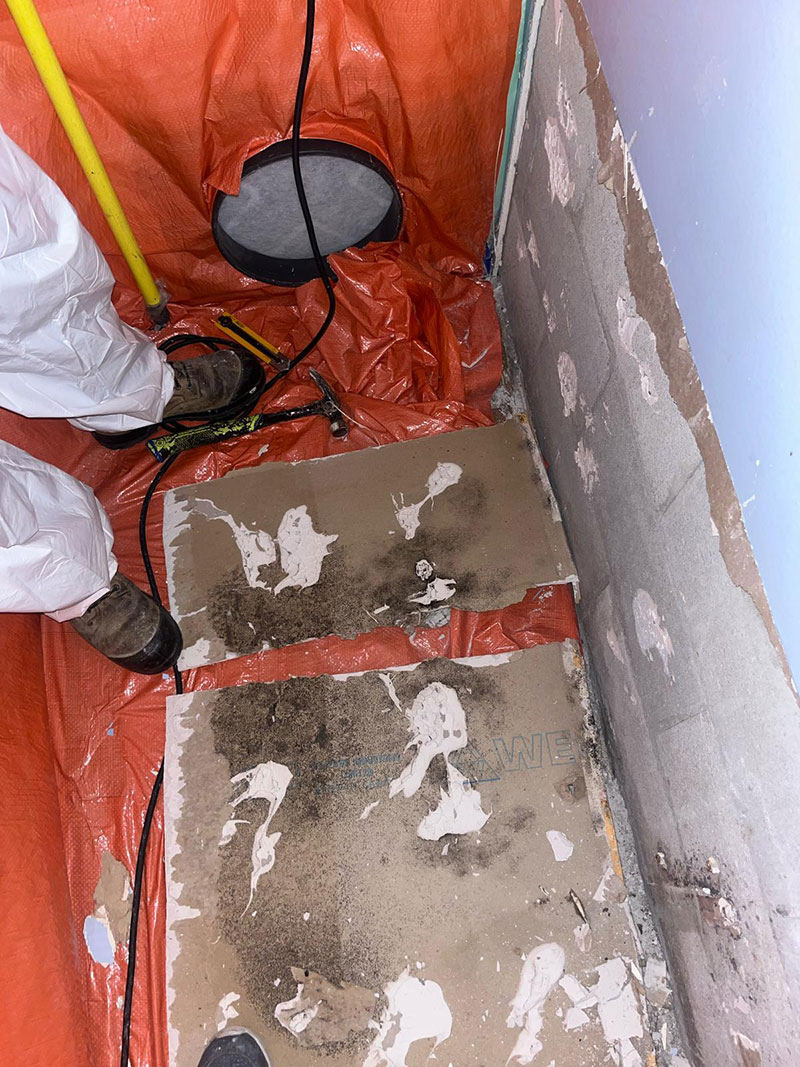 Commercial–-Emergency-Mold-Remediation-(4)