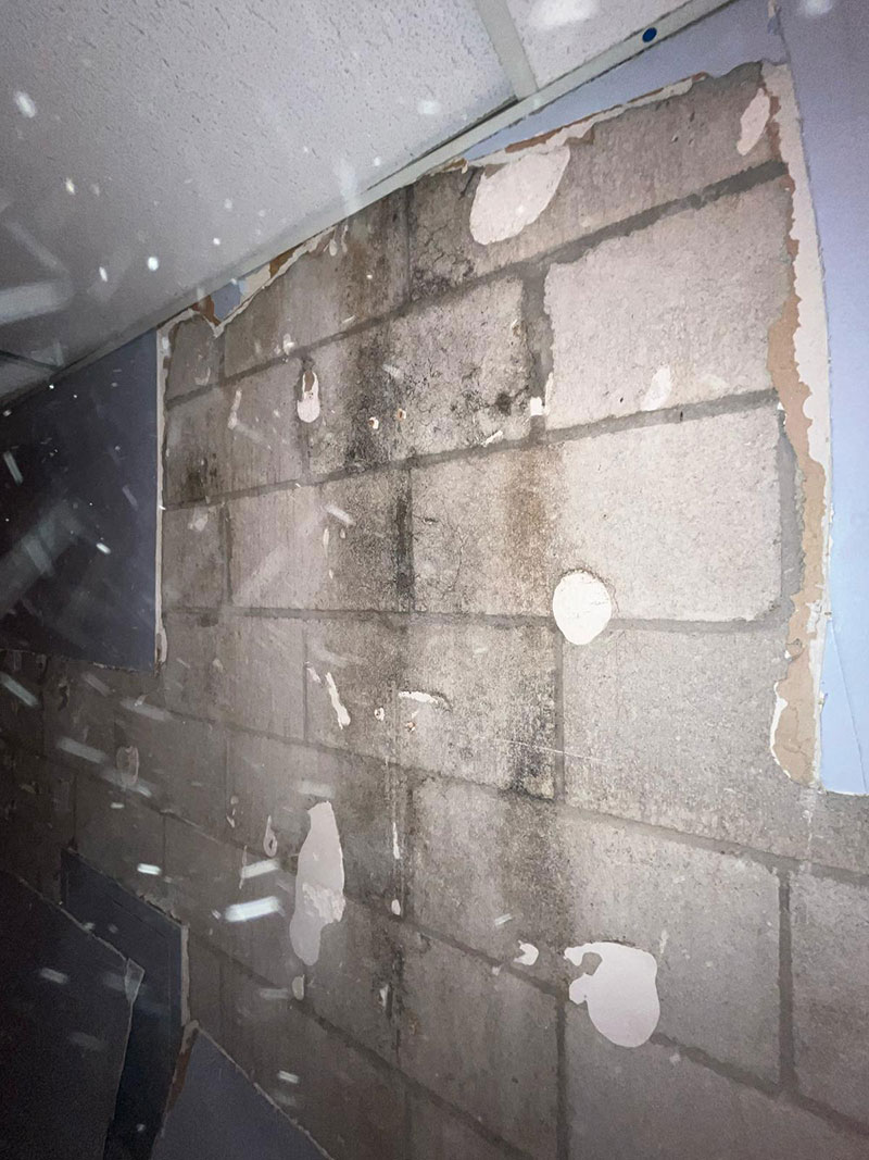 Commercial–-Emergency-Mold-Remediation-(5)